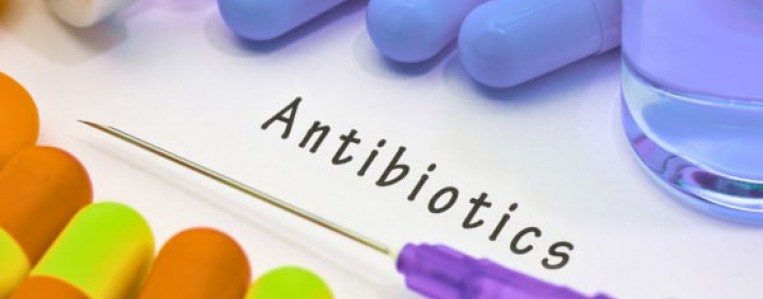 5 правил прийому антибіотиків